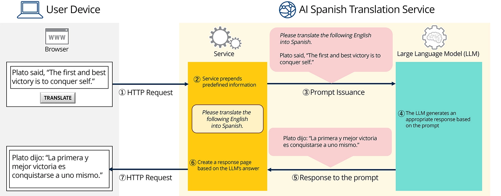 Text input by the user