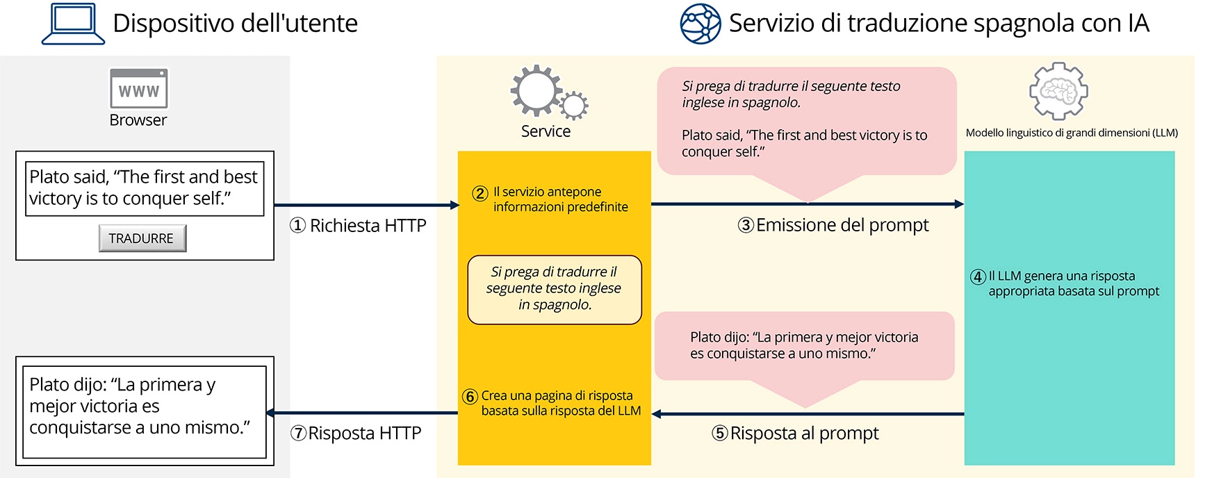 Text input by the user