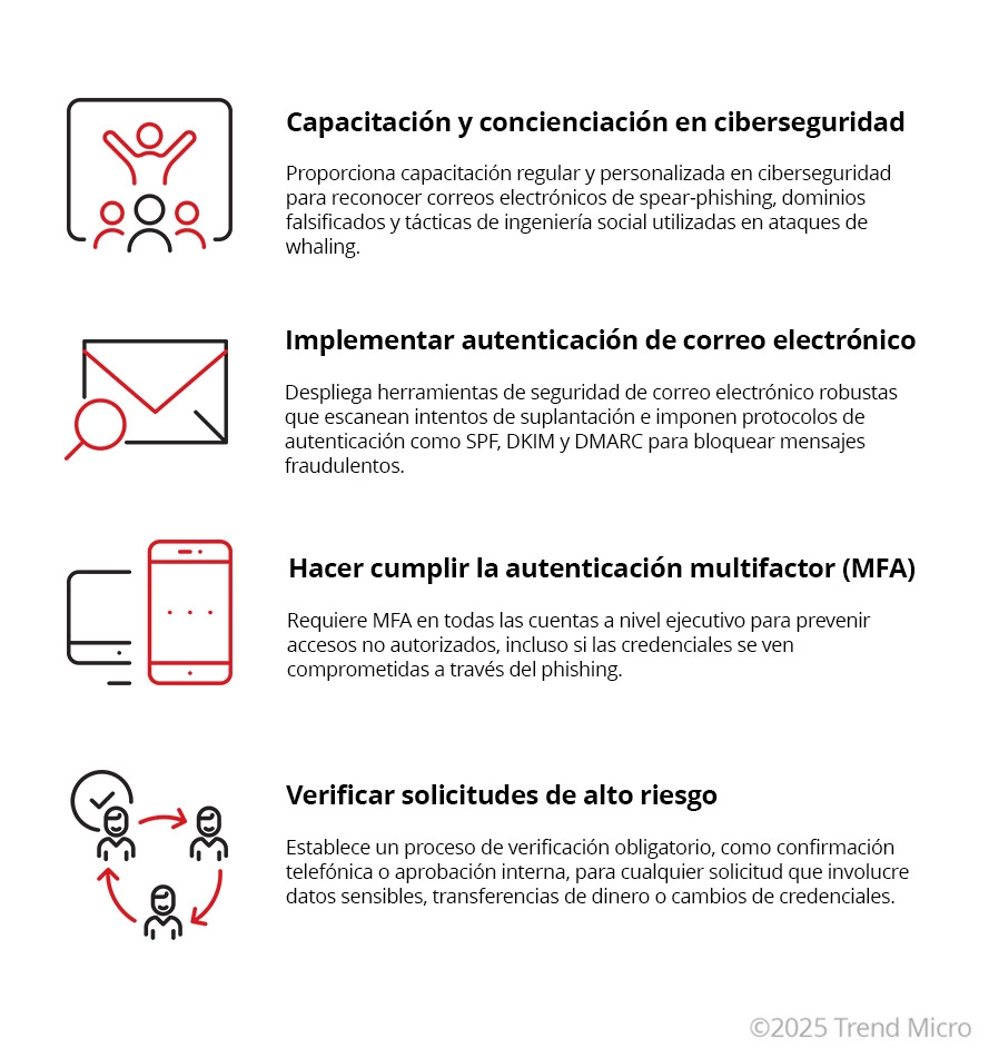 Como prevenir los ataques de whaling