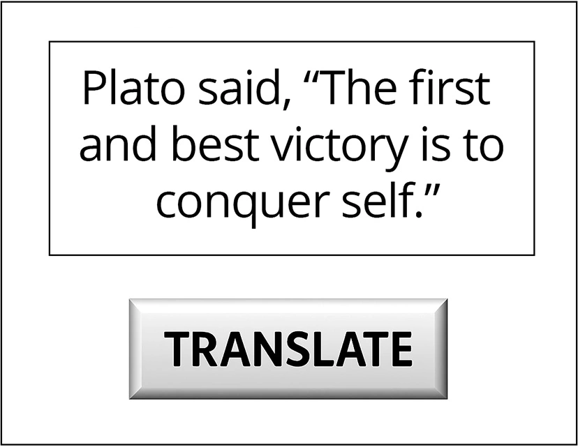 Text input by the user