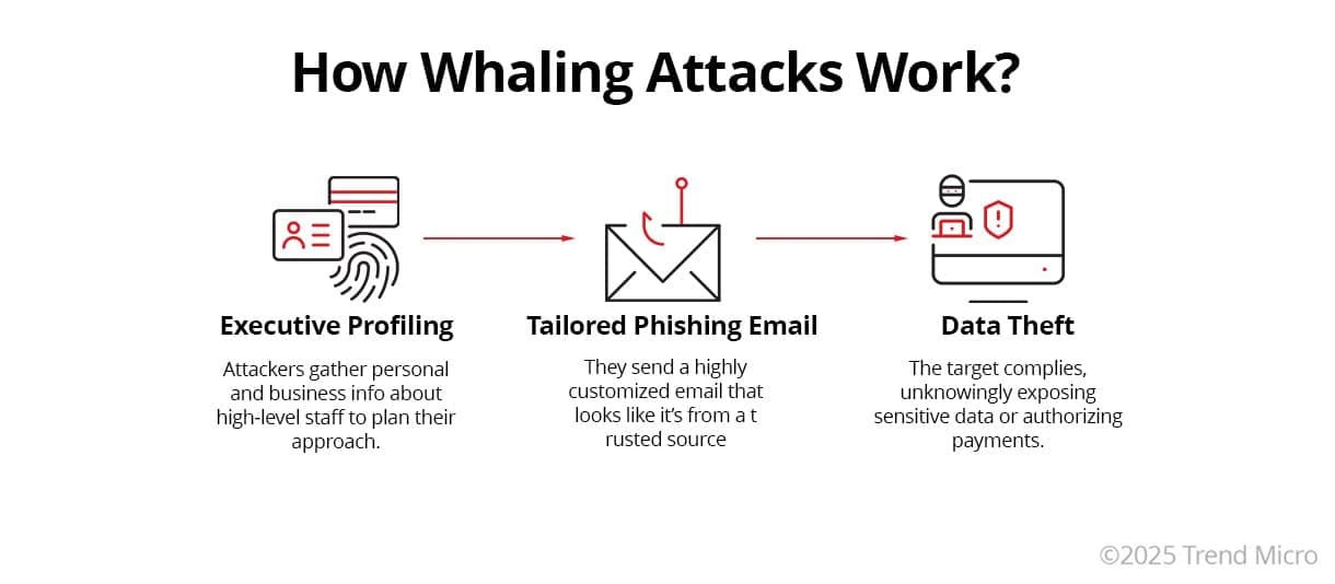 Illustration on how whaling attacks work.