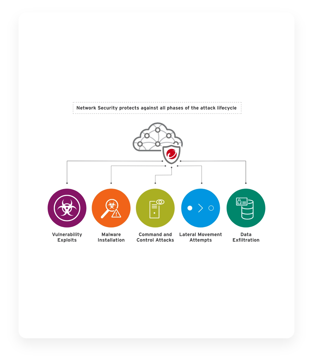 Info tree image