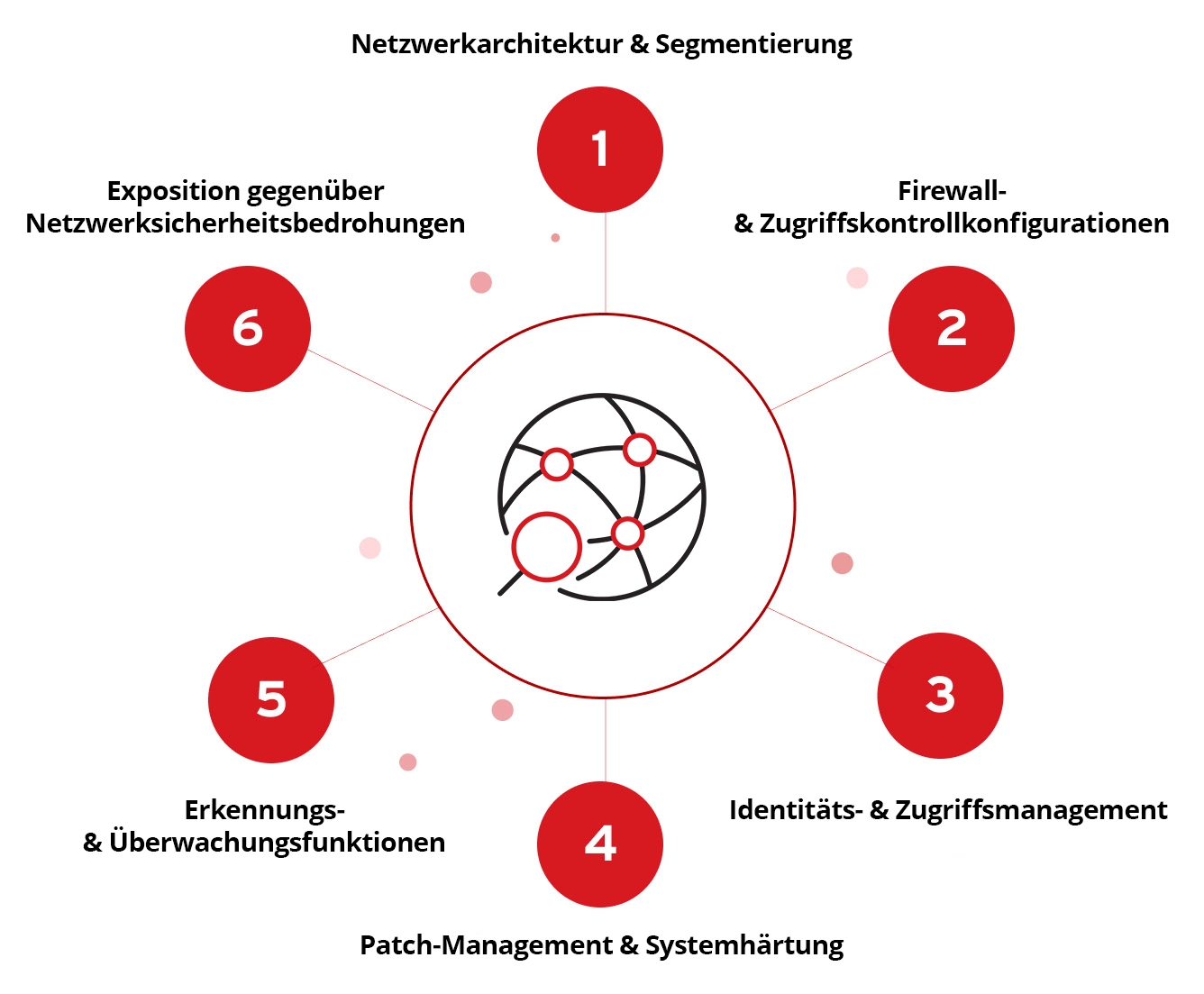 Network Architecture and Segmentation