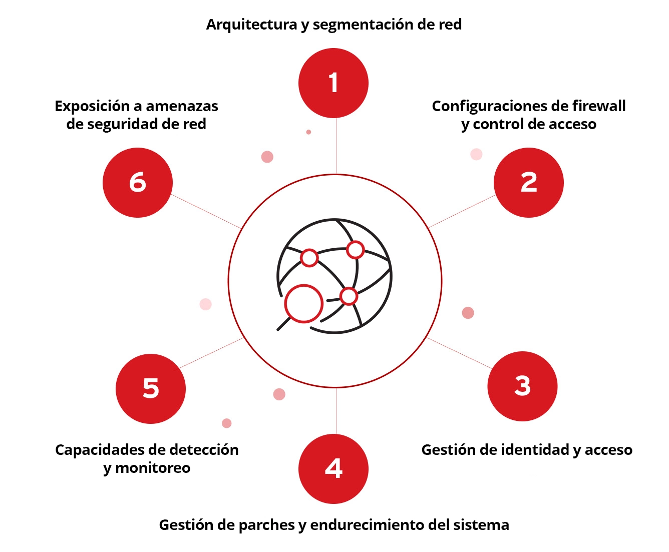 Network Architecture and Segmentation