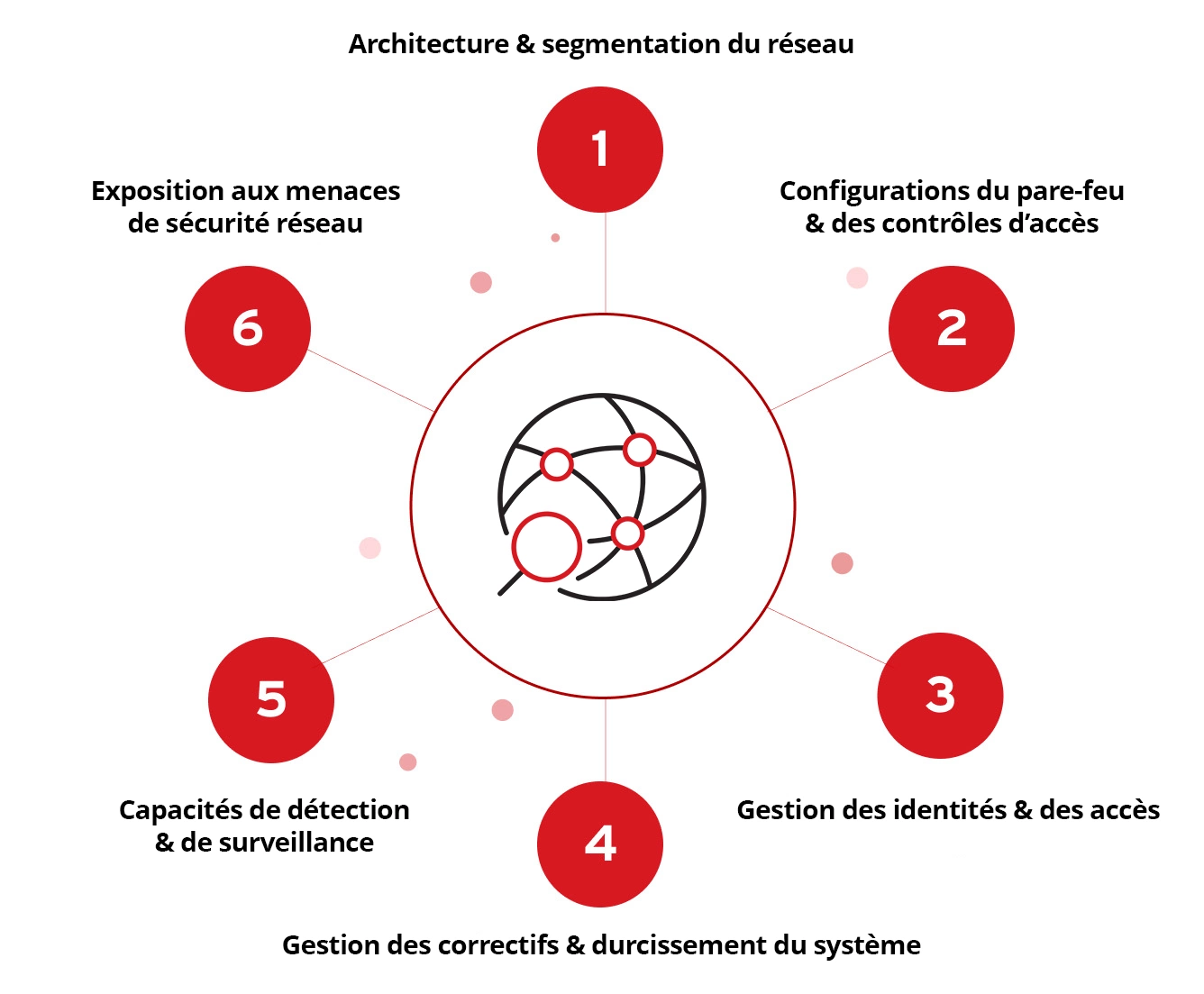 Network Architecture and Segmentation