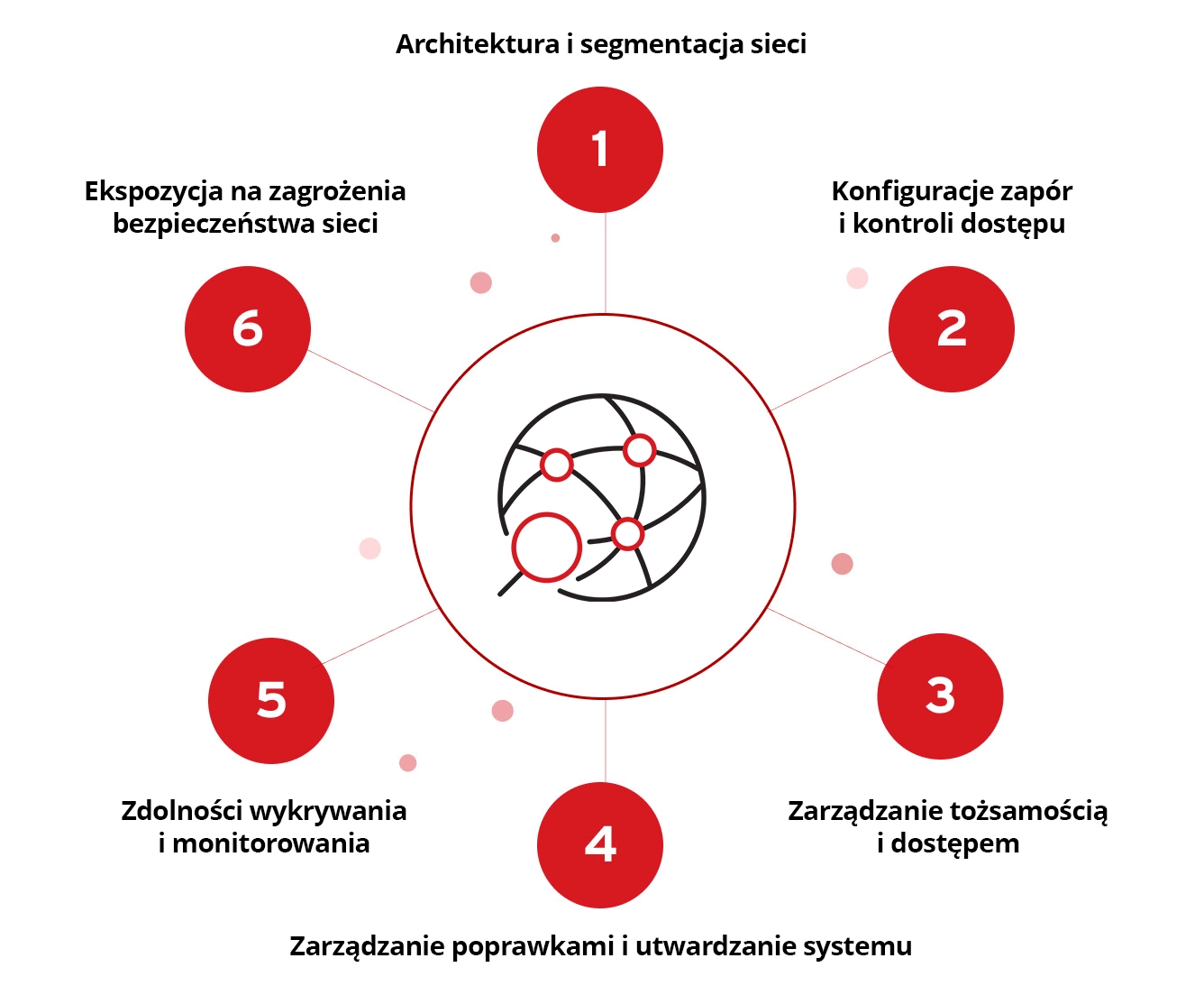 Network Architecture and Segmentation