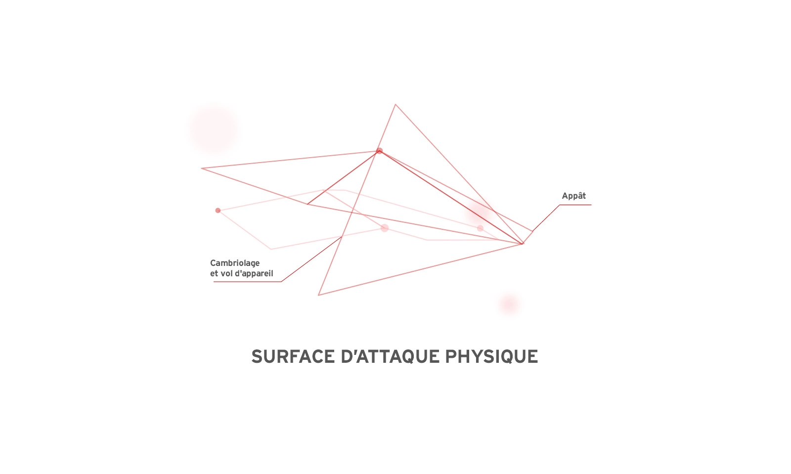 physique