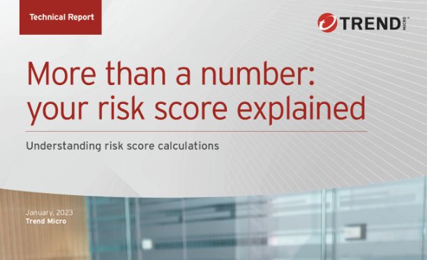 Risk Score Report