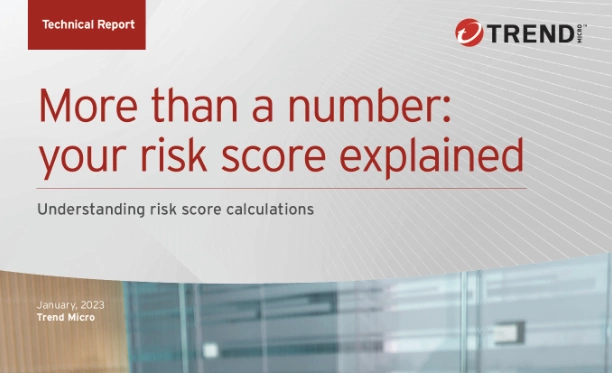 Risk Score Report