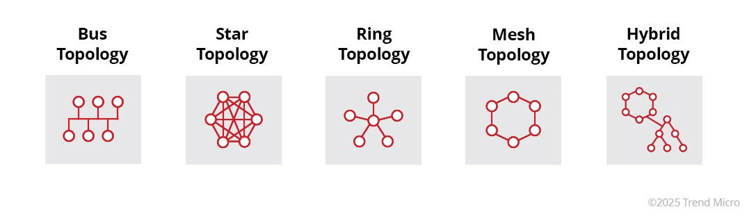 Types of Network Topologies