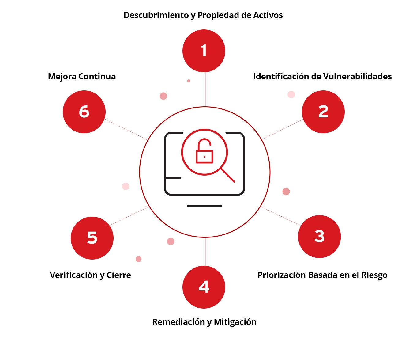 Ciclo de Vida de la Gestión de Vulnerabilidades