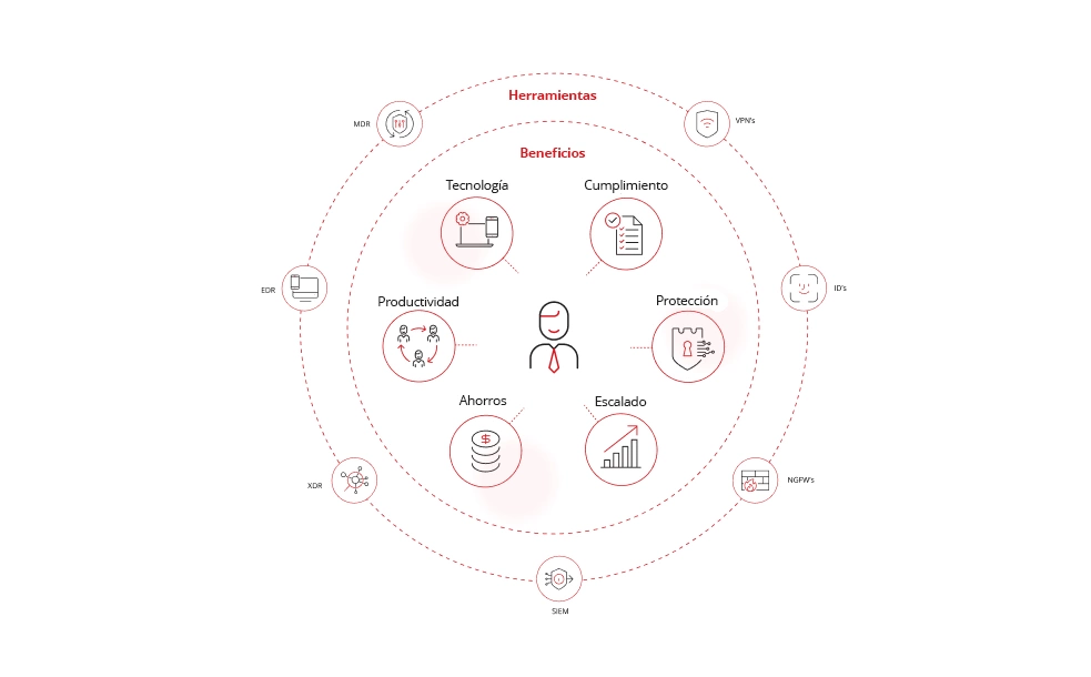 Ilustración de los diferentes servicios ofrecidos.